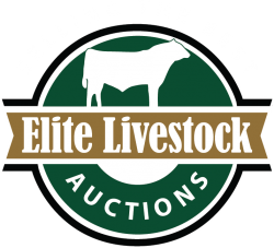 2017 Elite Logo PNG