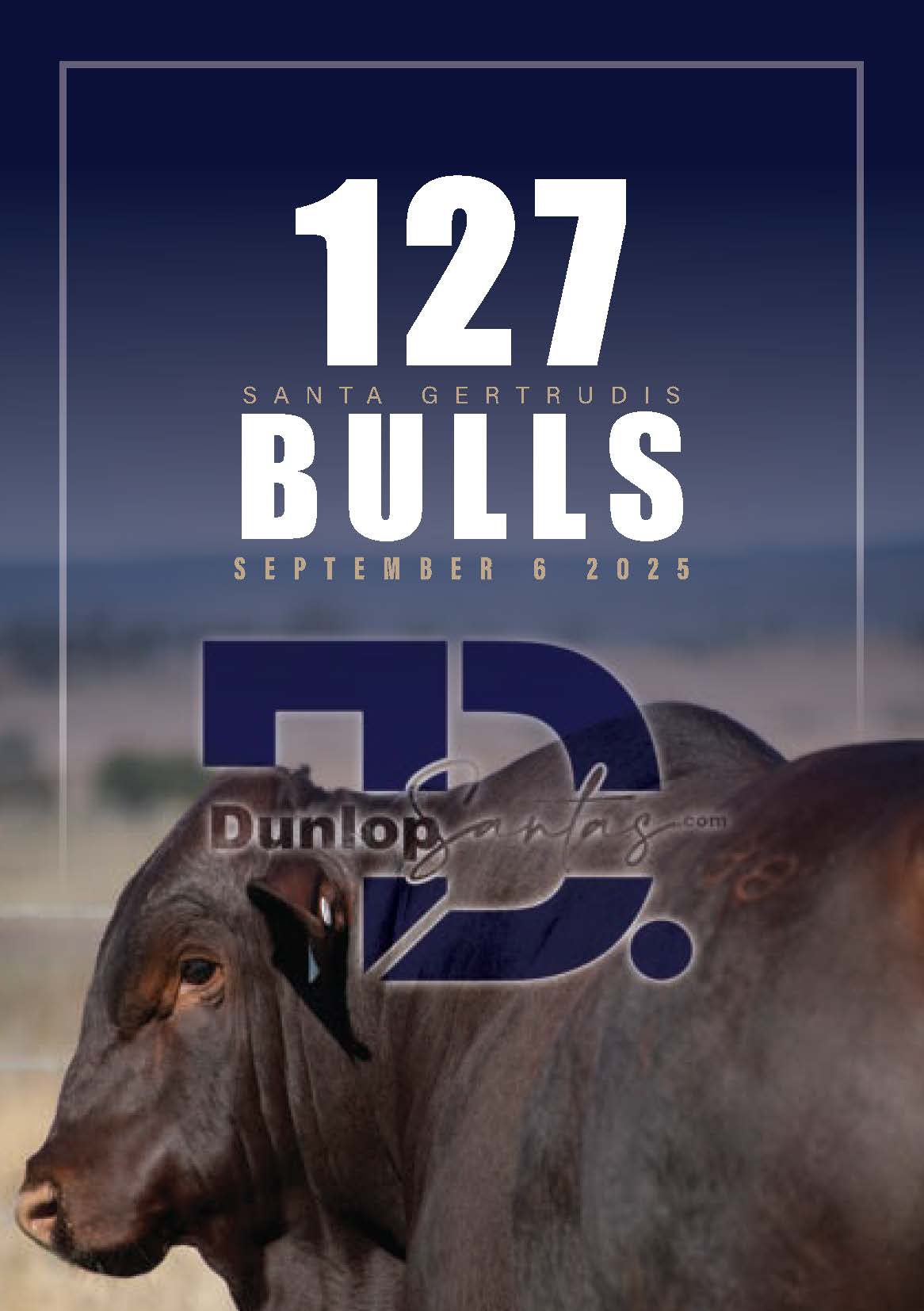 Dunlop Santas 2020 catalogue cover