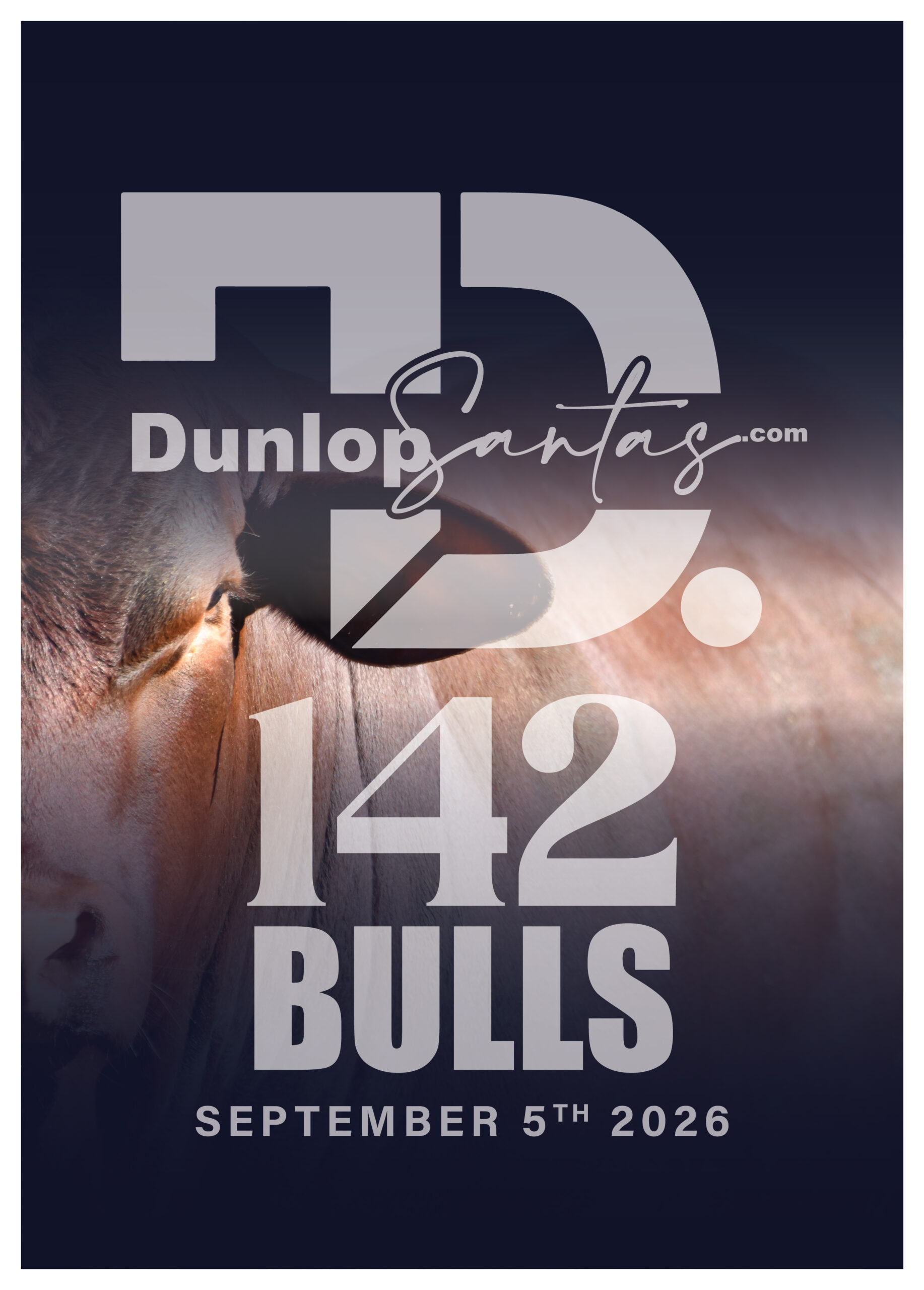 Dunlop Santas 2020 catalogue cover